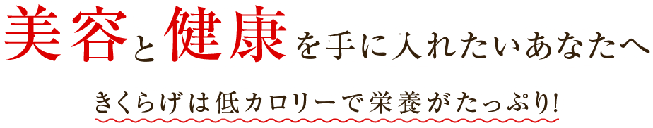 美容と健康を手に入れたいあなたへ。きくらげは低カロリーで栄養がたっぷり!