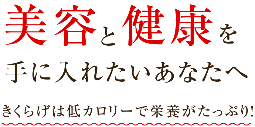 美容と健康を手に入れたいあなたへ。きくらげは低カロリーで栄養がたっぷり!