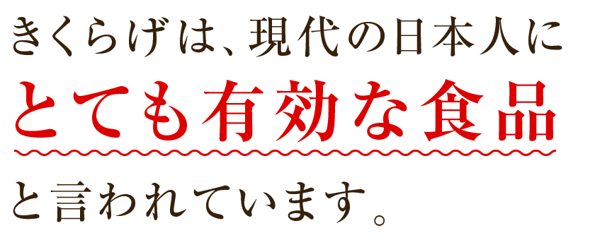 きくらげは、現代の日本人にとても有効な食品と言われています。